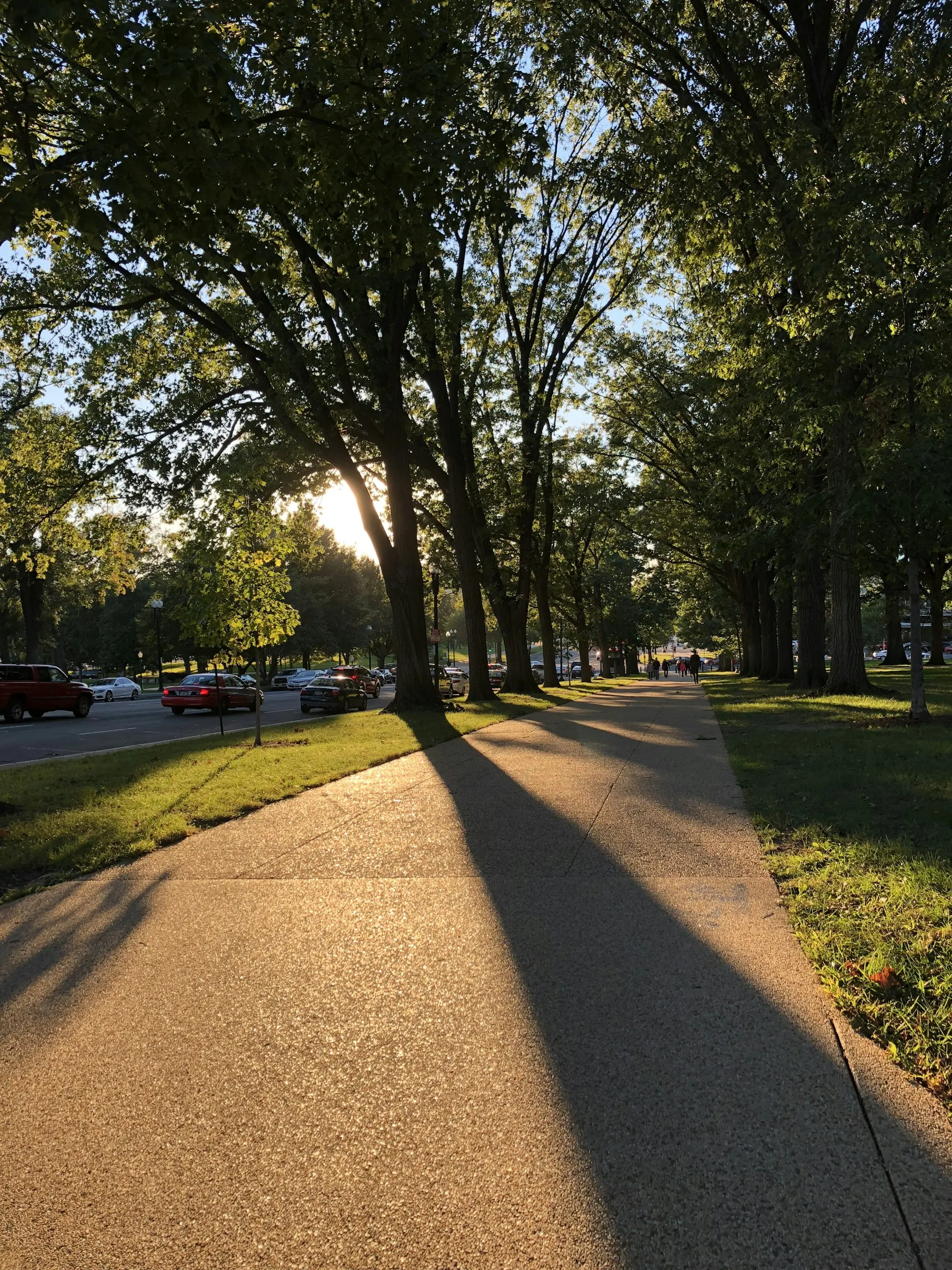Concrete park path in late afternoon sun